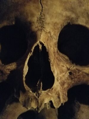 20170325_105422.jpg