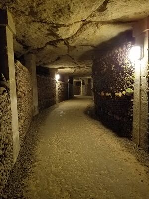 20170325_105457.jpg