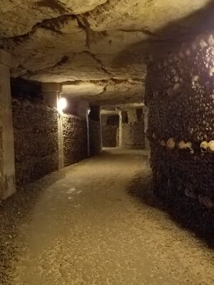 20170325_105500.jpg