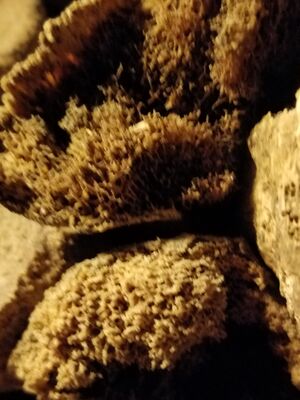 20170325_105643.jpg