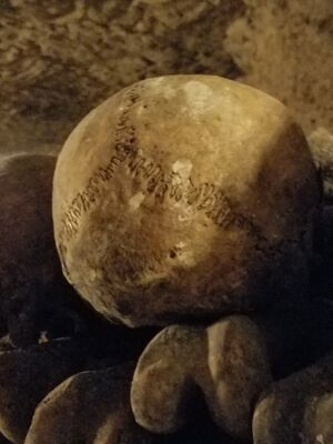 20170325_105656.jpg