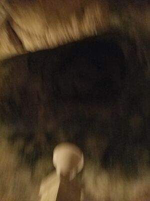 20170325_110226.jpg