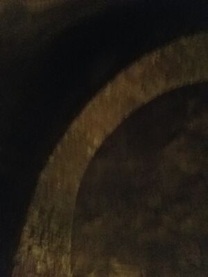 20170325_110400.jpg