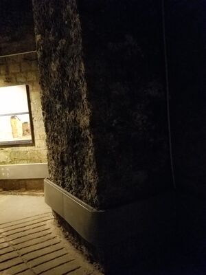 20170325_110410.jpg