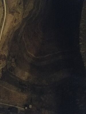 20170325_110419.jpg