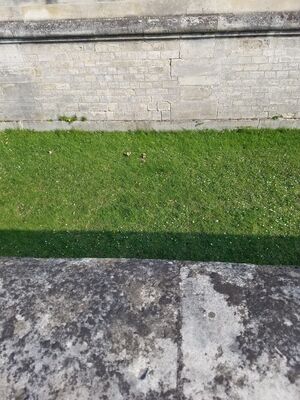 20170326_105439.jpg
