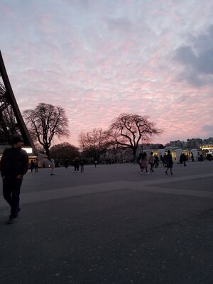 20170326_202050.jpg