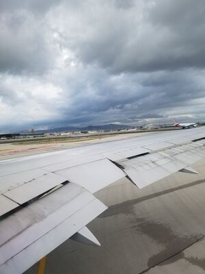 20170401_114024.jpg