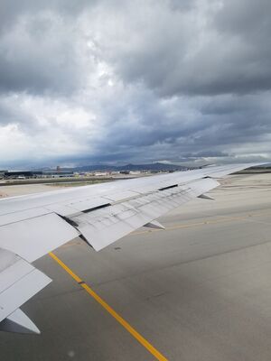 20170401_114027.jpg
