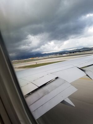 20170401_114046.jpg