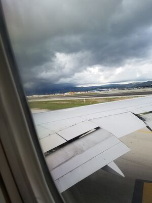 20170401_114126.jpg