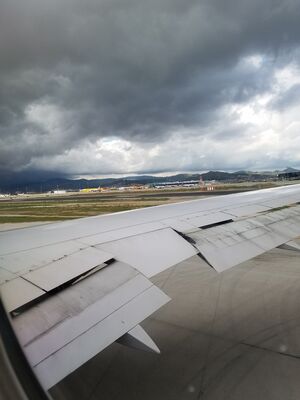 20170401_114219.jpg