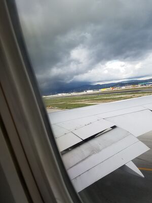 20170401_114227.jpg