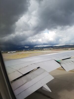 20170401_114556.jpg