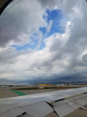 20170401_115009.jpg
