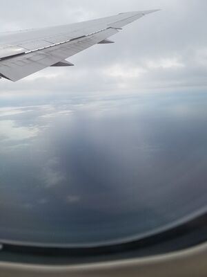 20170401_115756.jpg