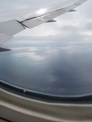 20170401_115758.jpg
