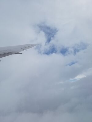 20170401_115929.jpg