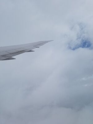 20170401_115930.jpg