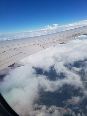 20170401_120245.jpg