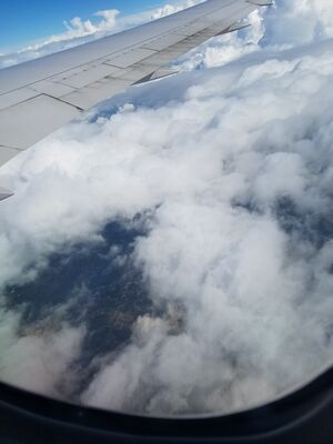 20170401_120254.jpg