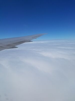 20170401_200348.jpg