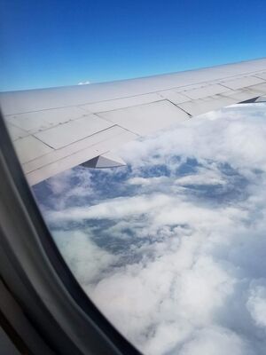 received_638544776355108.jpeg