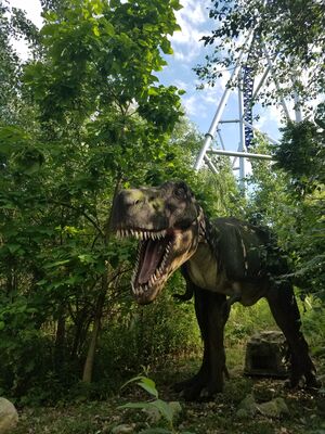 20170624_173944.jpg