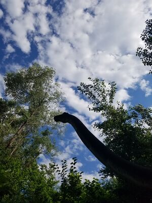 20170624_174042.jpg