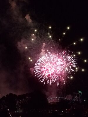 20170704_223950.jpg