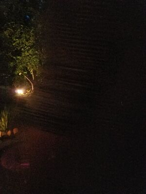 20170717_213631.jpg