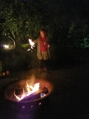 20170717_214106.jpg