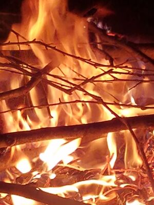 20170717_223645.jpg