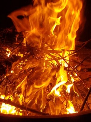 20170717_223704.jpg