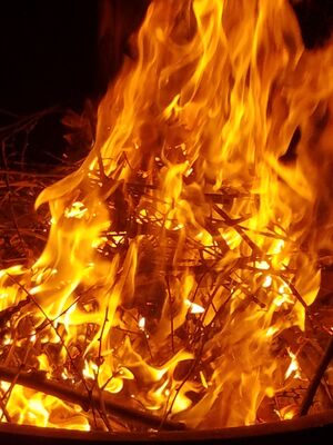 20170717_223705.jpg