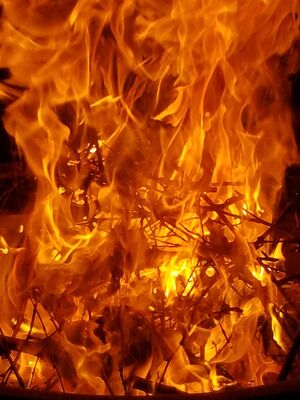 20170717_223708.jpg