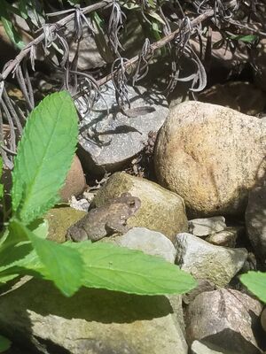 20170720_150347.jpg