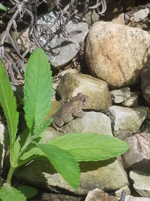 20170720_150349.jpg
