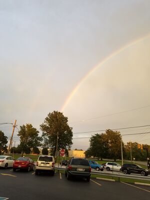 20170723_203636.jpg