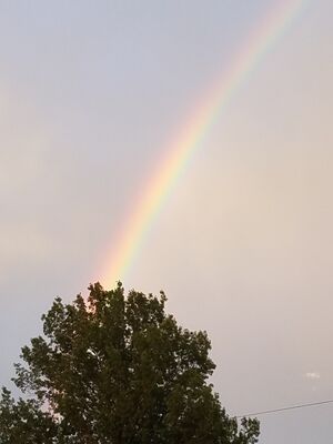 20170723_203759.jpg
