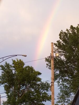20170723_203916.jpg