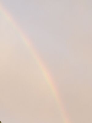 20170723_204040.jpg