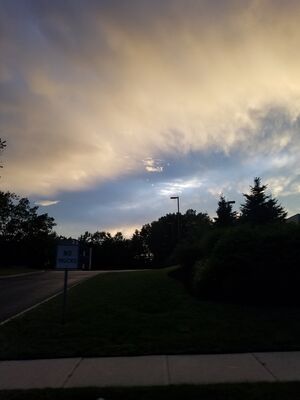 20170723_204319.jpg