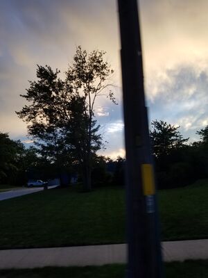 20170723_204323.jpg