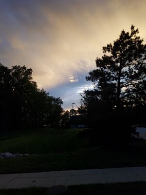 20170723_204325.jpg