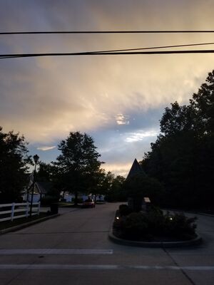 20170723_204342.jpg