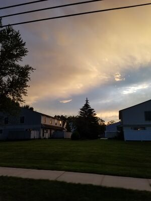 20170723_204351.jpg