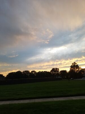 20170723_204543.jpg