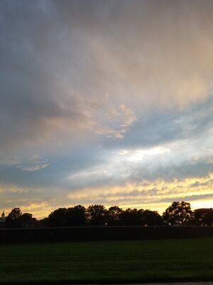 20170723_204545.jpg