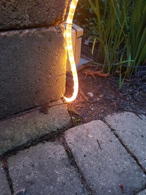 20170723_205647.jpg